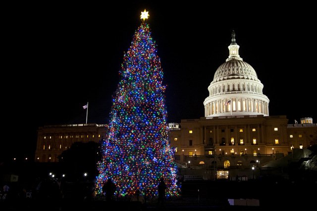 Decorated Capitol Christmas Tree