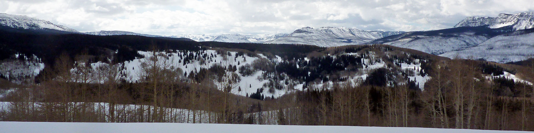 Winter Banner Image